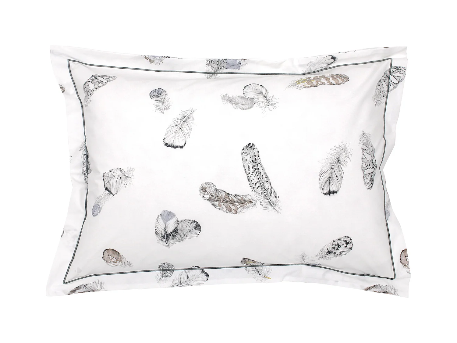 Taie d'oreiller 70x50 cm Percale pur coton PLUMES