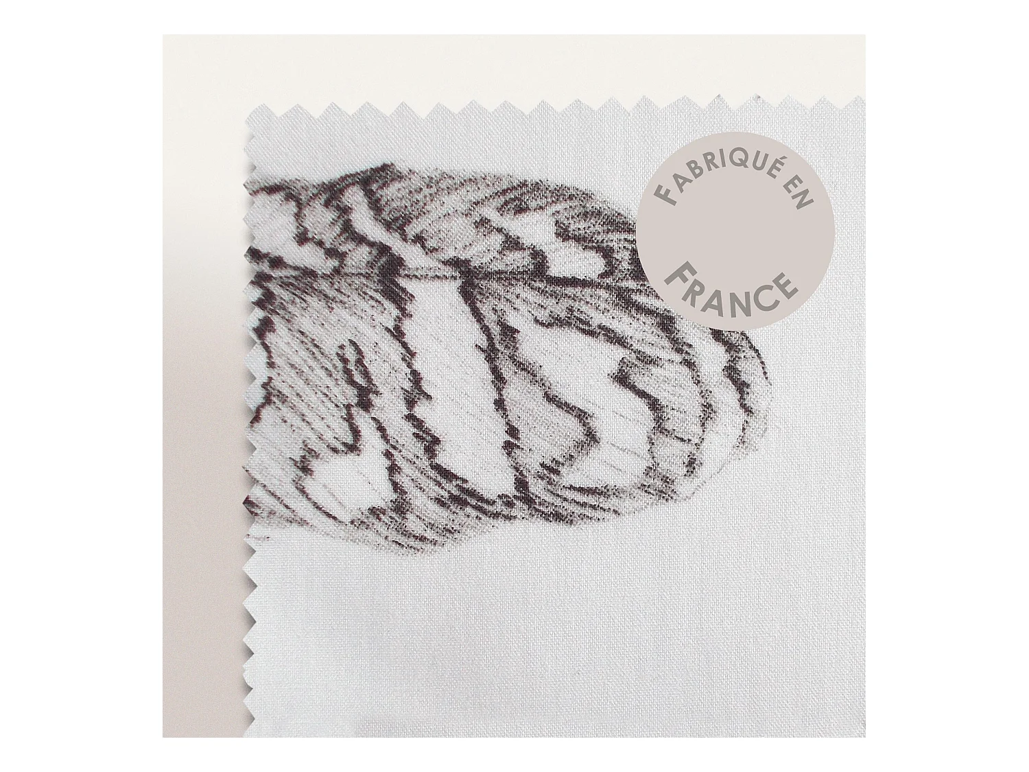 Taie d'oreiller 70x50 cm Percale pur coton PLUMES