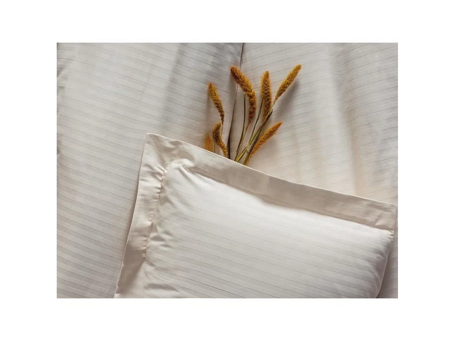 Parure de lit - housse de couette 220 x 240 + 2 taies d'oreiller 60 x 60 - Satiné coton - Écru