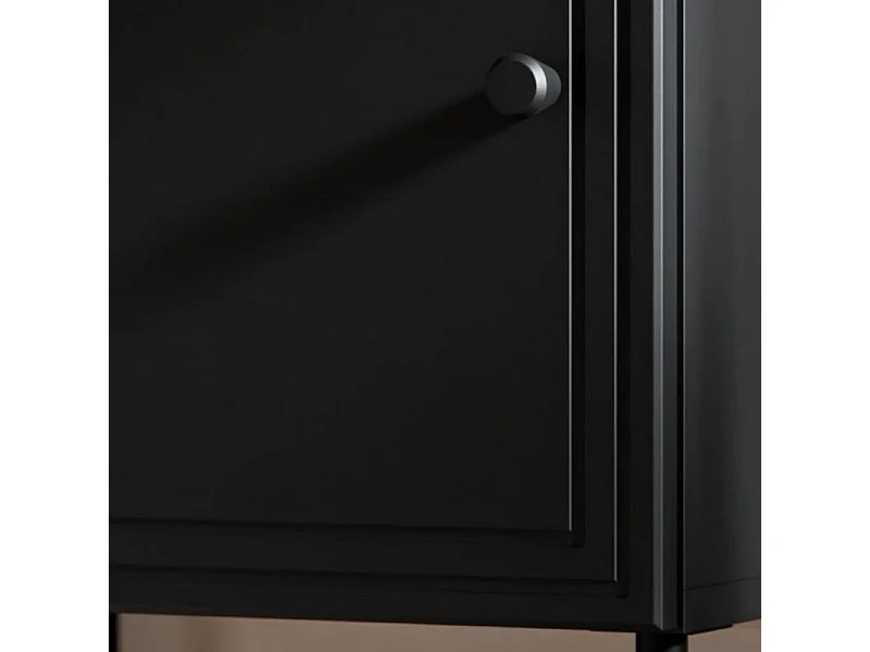 Armoire de salon noire 100 x 166 cm Pazol