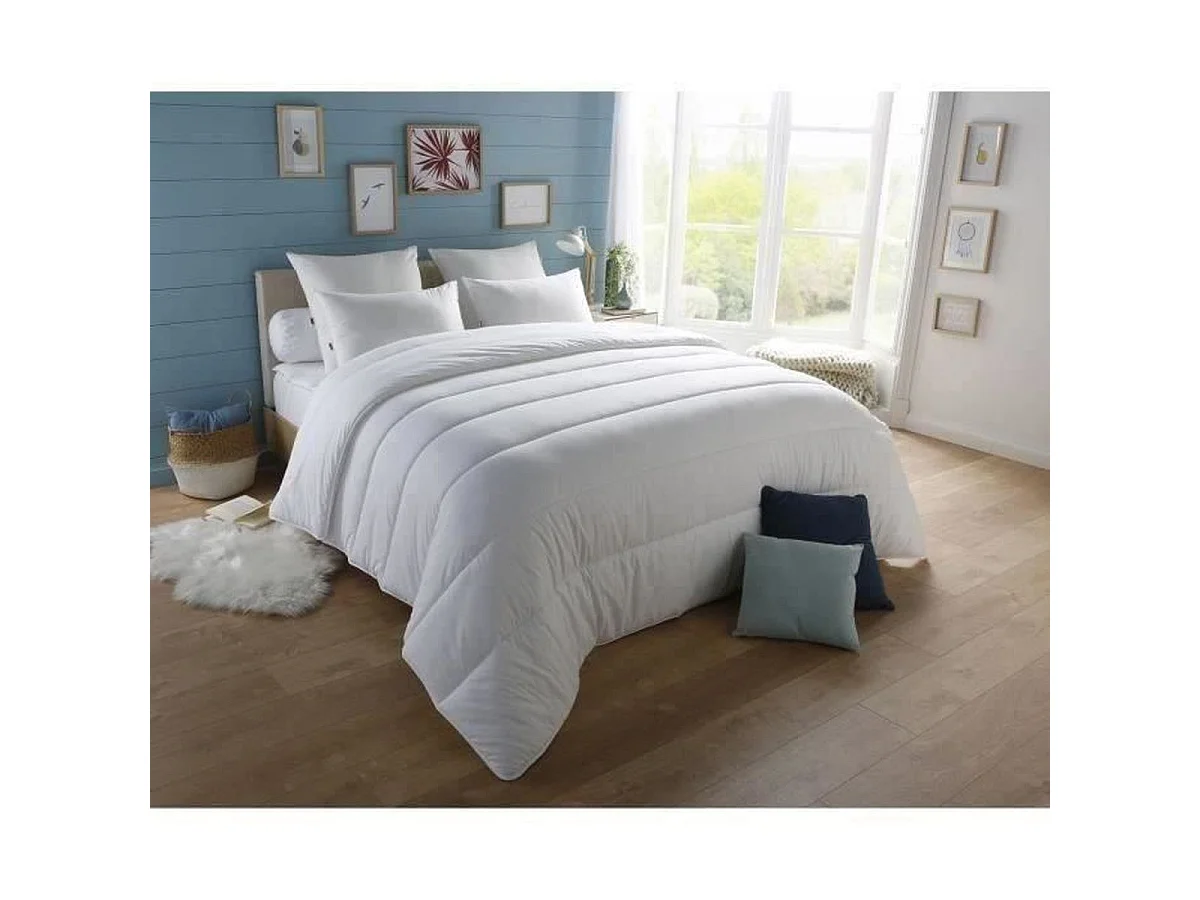 DODO Splendeur Pack — Couette Chaude 220x240 cm + 2 Oreillers 60x60 cm anti-acariens