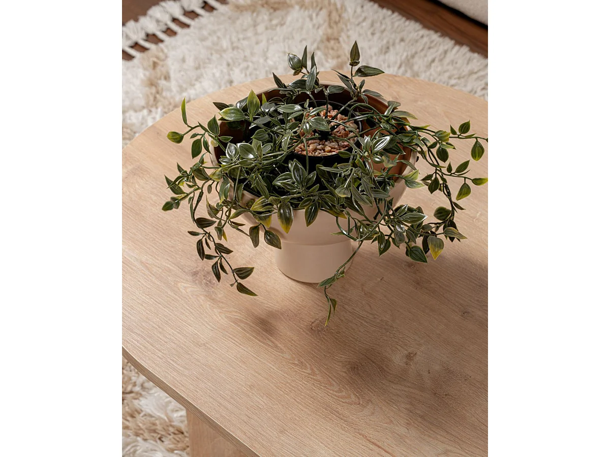 Mesa de centro ovalada arline natural y madera para hogar moderno mueble de almacenaje  - Homekit