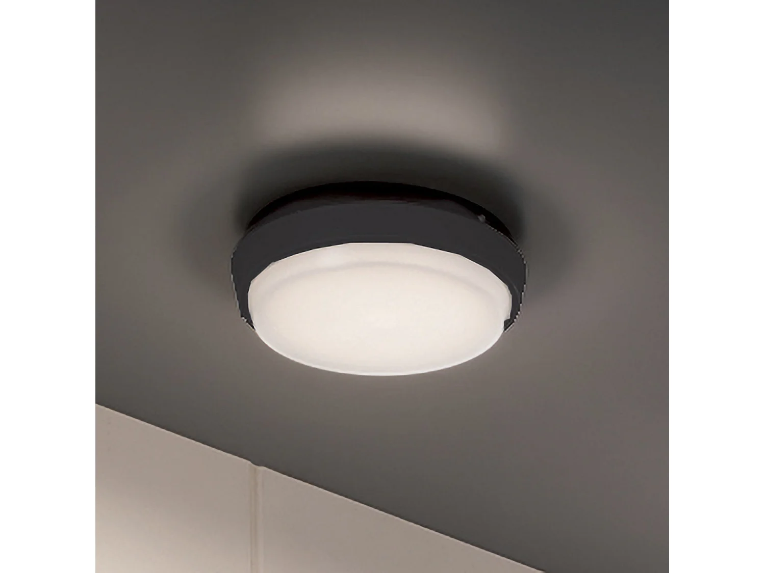Lámpara LED de Pared y Techo Alu, Aluminio Gris Oscuro, IP54, 10W, 3000K, Diámetro 17,5cm, Diseño Moderno para Exterior e Interior, Alta Calidad.