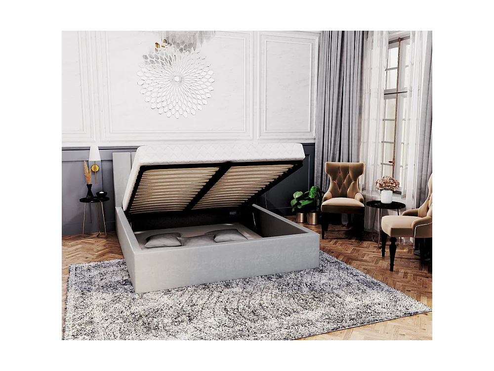 Lit coffre Lorado 120 x 200 cm avec sommier à lattes relevable Gris Clair