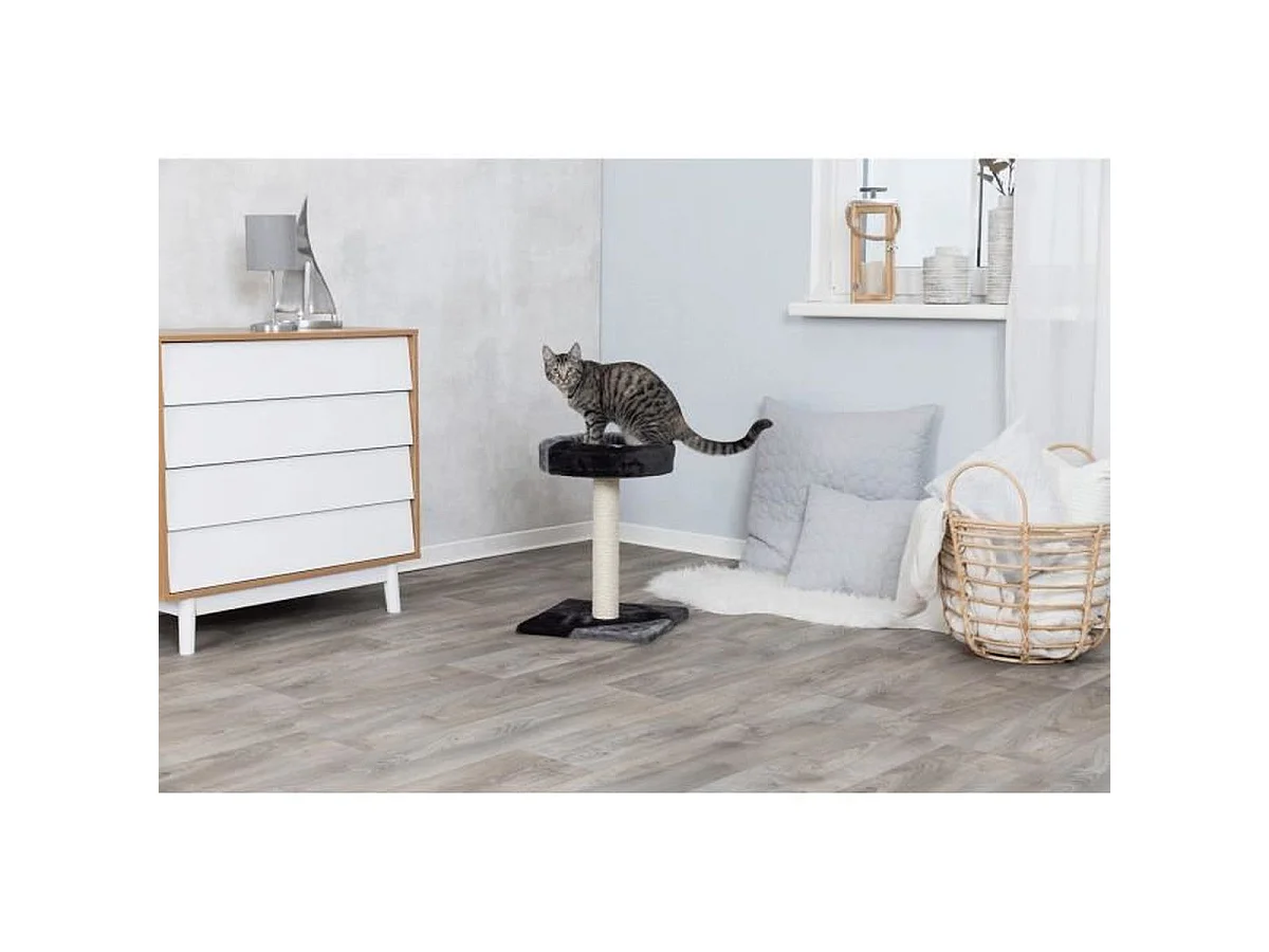 Arbre à chat TRIXIE Tarifa - 52 cm - Gris et noir