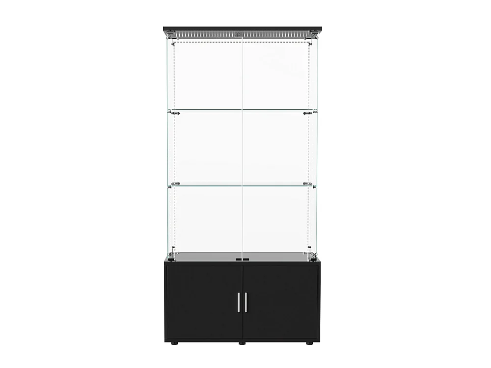 Affichage en verre - 164 x 78,5 x 35 cm - Porte double avec 3 étagères et rangement caché - avec éclairage LED - Noir