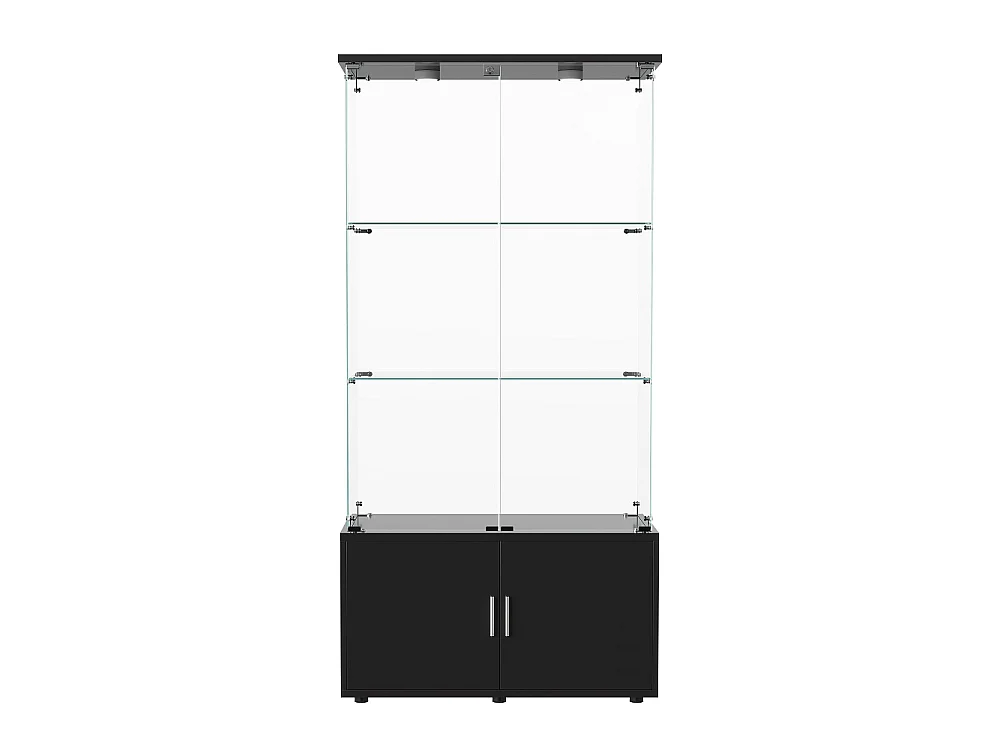 Affichage en verre - 164 x 78.5 x 35 cm - Porte double avec 3 étagères et rangement caché - Lumière de patinage intégrée - Noir