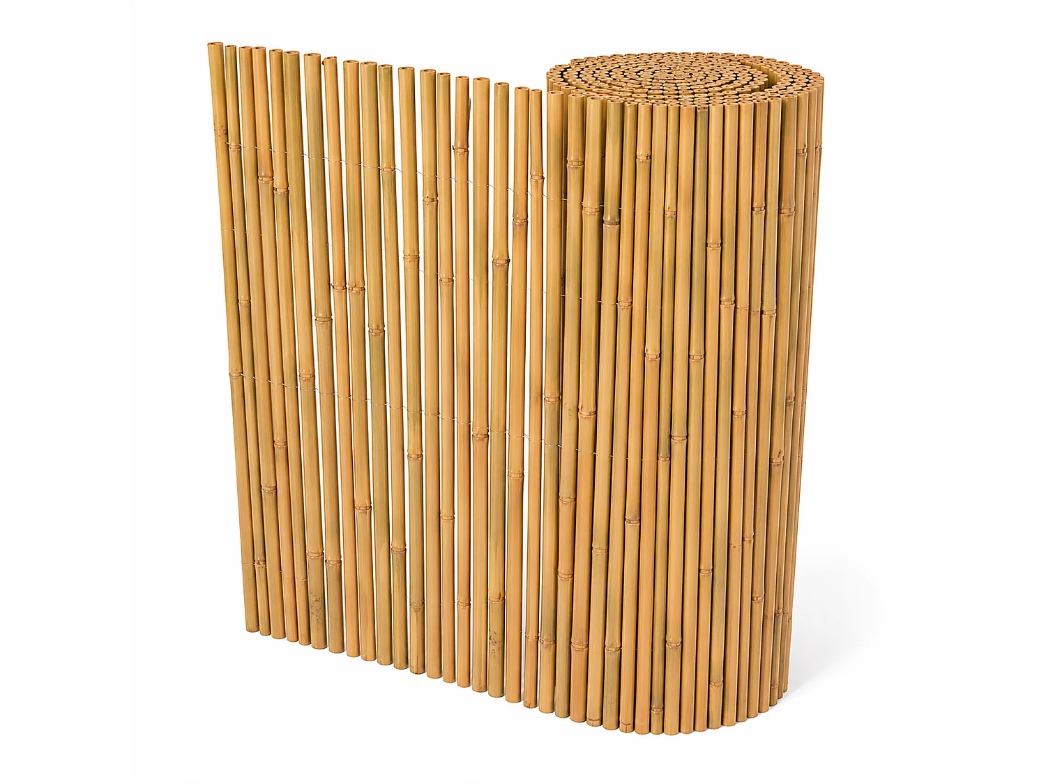Stuoia In Bambù Naturale Da Esterno Per Privacy E Ombreggiatura Schermatura Decorativa Con Cannette Resistenti Per Giardino Balcone Terrazza Gazebo 2 X 3 Metri