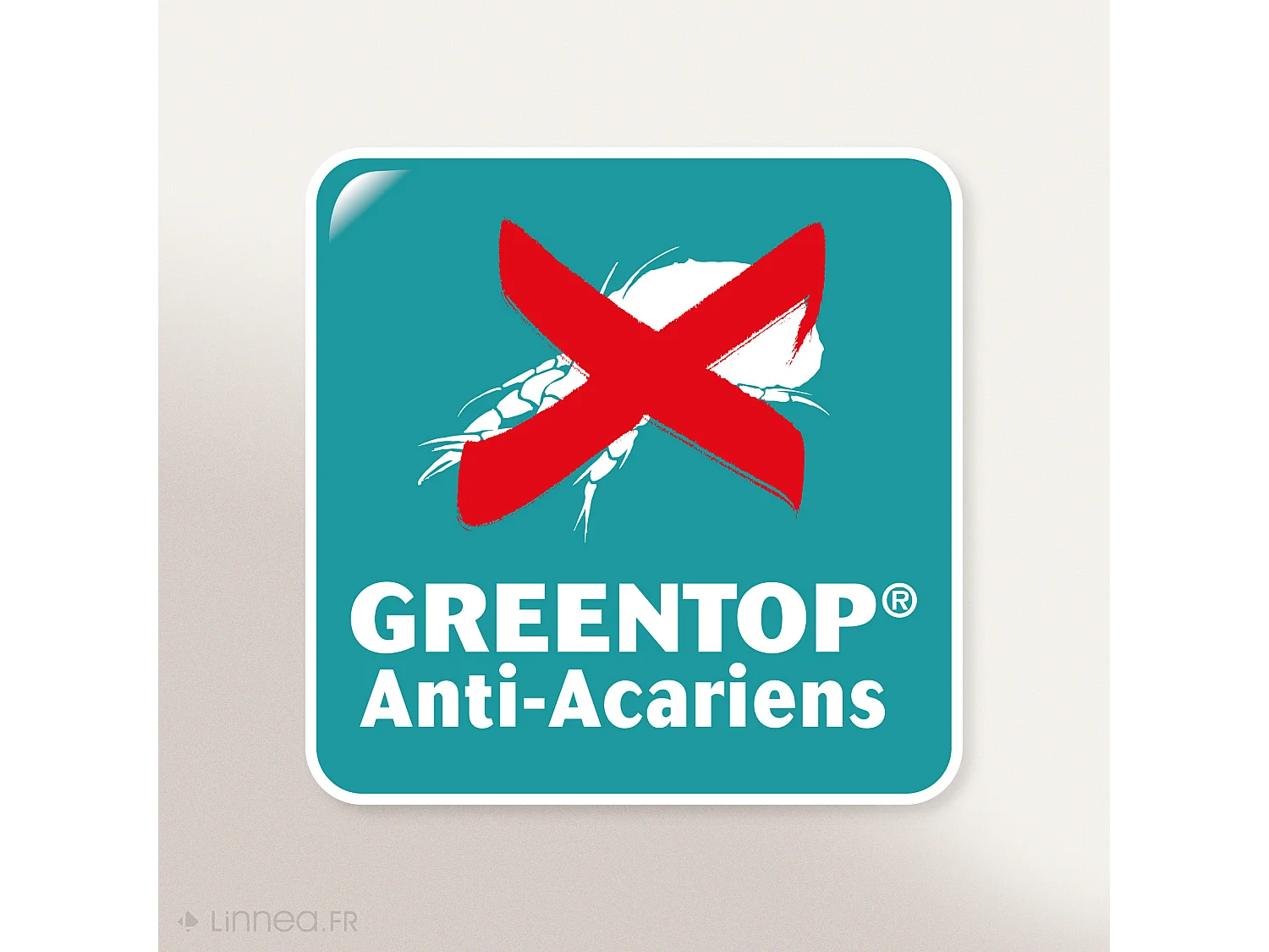 Housse de protection oreiller 40x60 cm Antonin Molleton absorbant traité anti-acariens