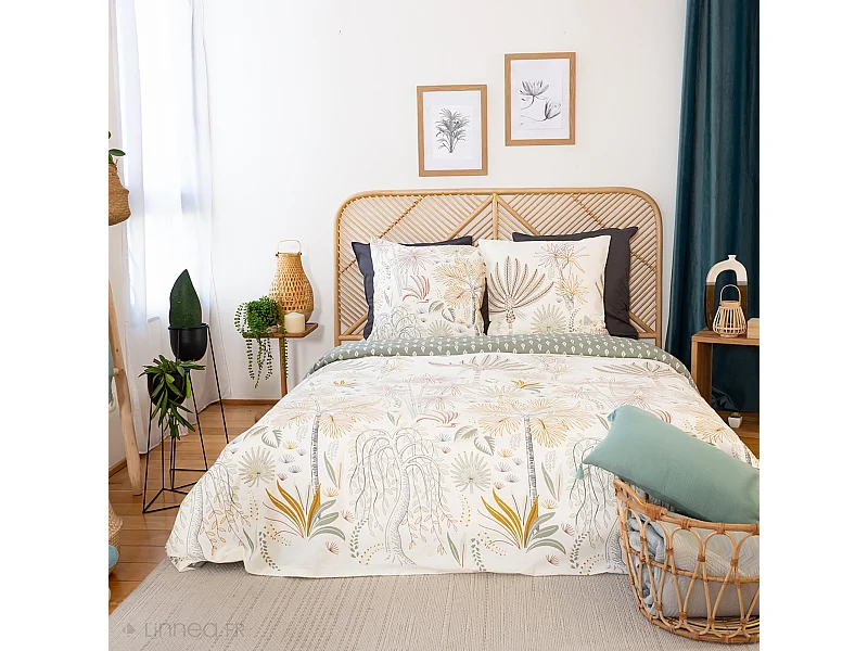 Parure de lit 240x220 cm coton bci adouci TINGUELIE vert 3 pièces