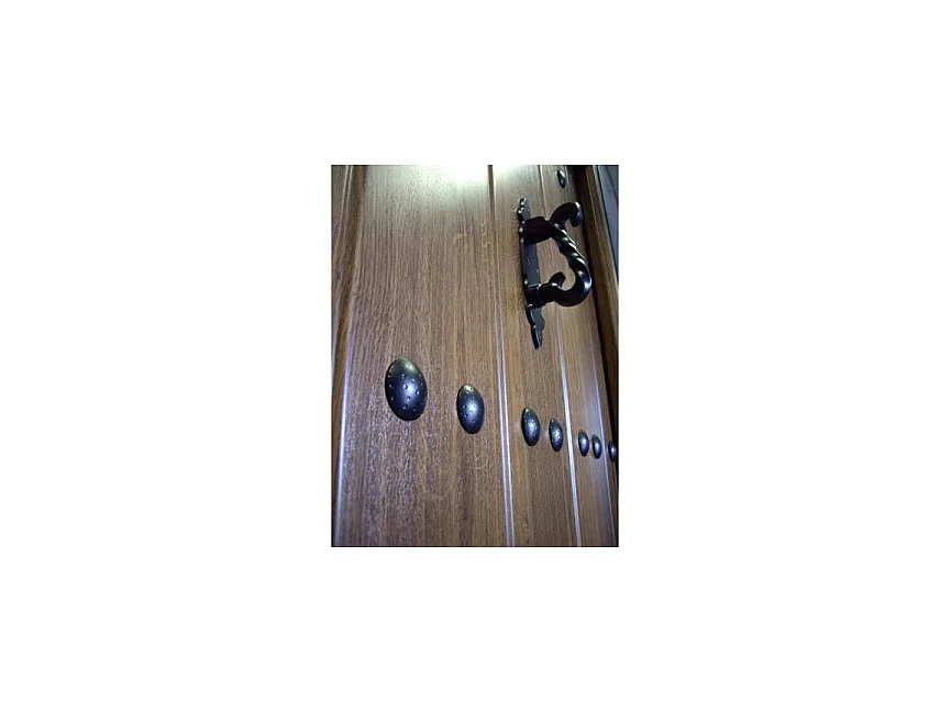 Porte d'entrée MAS rustica verts 90 cm 45 mm en acier inoxydable - Poignée et serrure : Avec - Poussant: Gauche