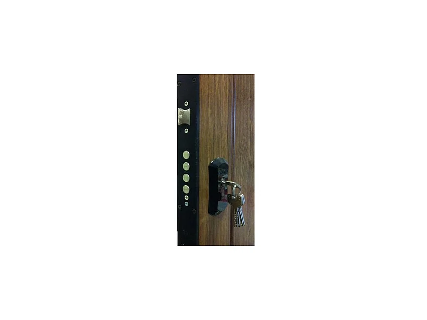 Porte d'entrée MAS rustica verts 90 cm 45 mm en acier inoxydable - Poignée et serrure : Avec - Poussant: Gauche