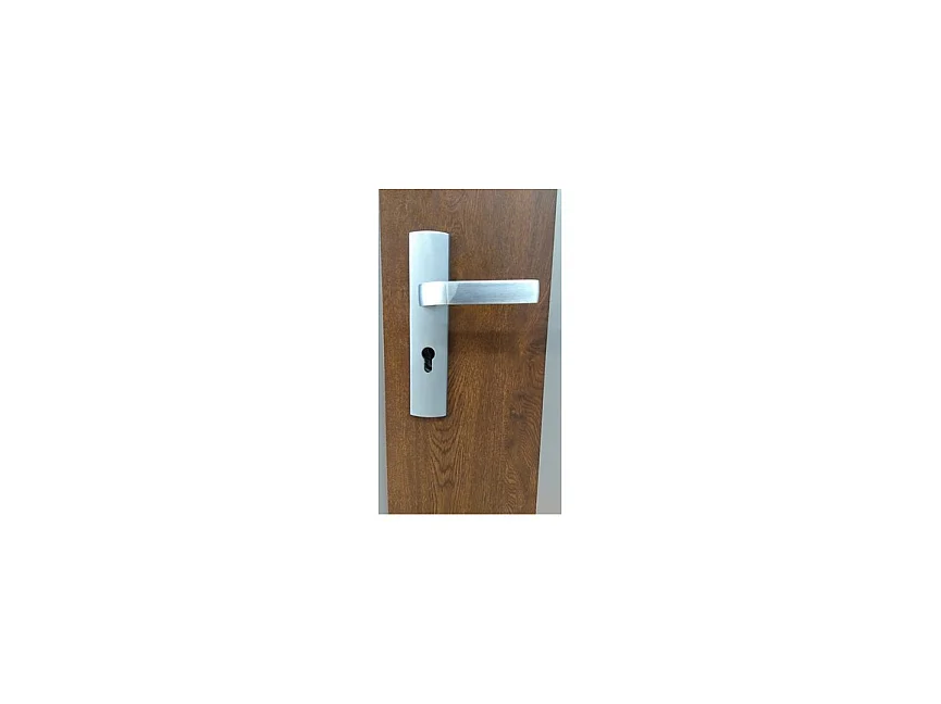 Porte d'entrée TANGO chêne doré en acier inoxydable en 80 ou 90 cm - Poignée et serrure : Avec - Poussant: Gauche - Dimensions: 90 cm