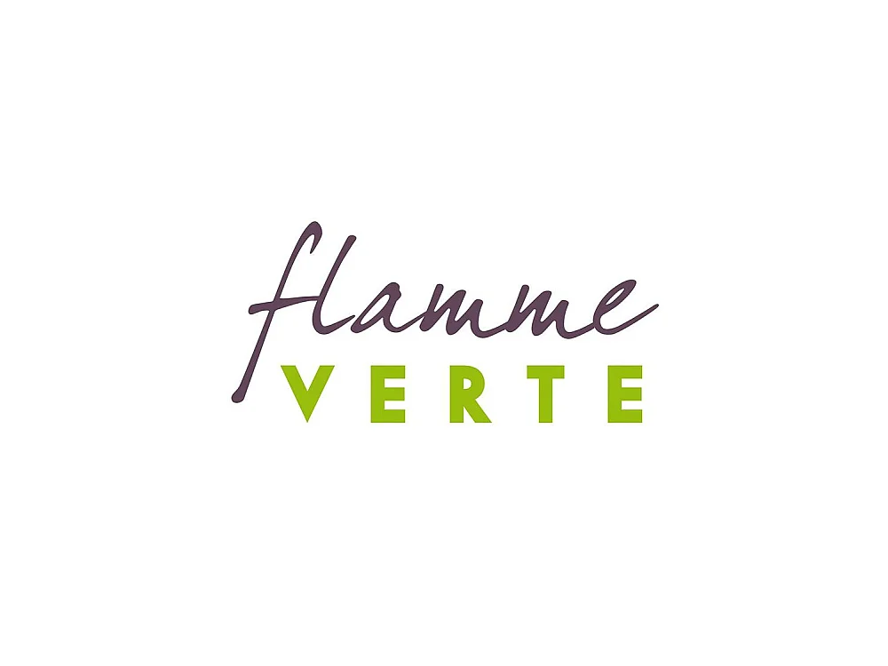 Poêle à bois en fonte 10 kW ETNA