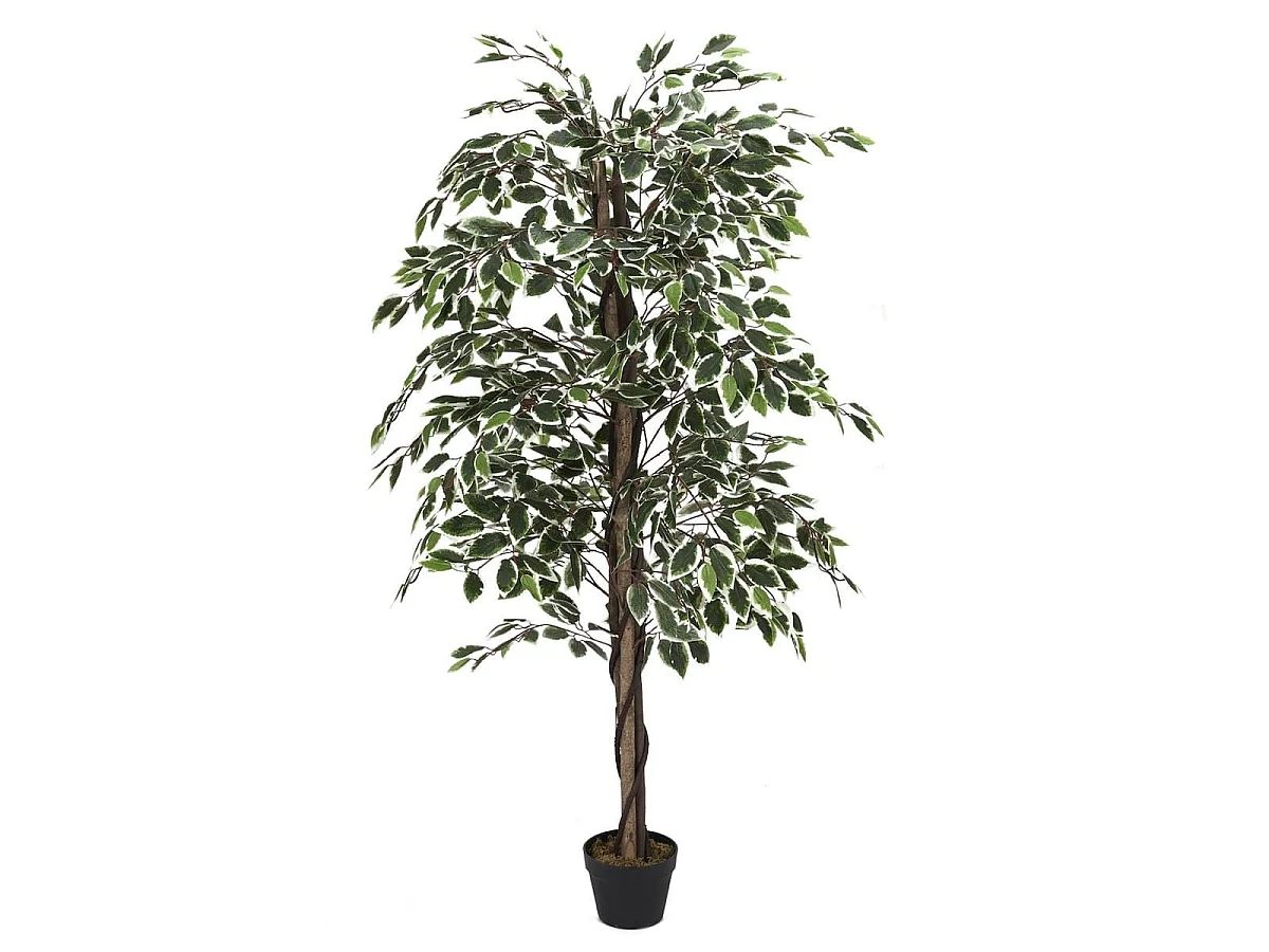 Cornouiller artificiel en polyéthylène hauteur 160cm
