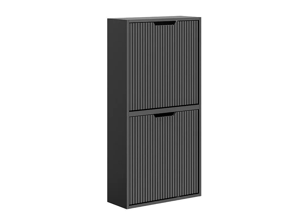 SoBuy Meuble Chaussures Portes Rabattables Noir 50x19x99.6cm FSR204-SCH