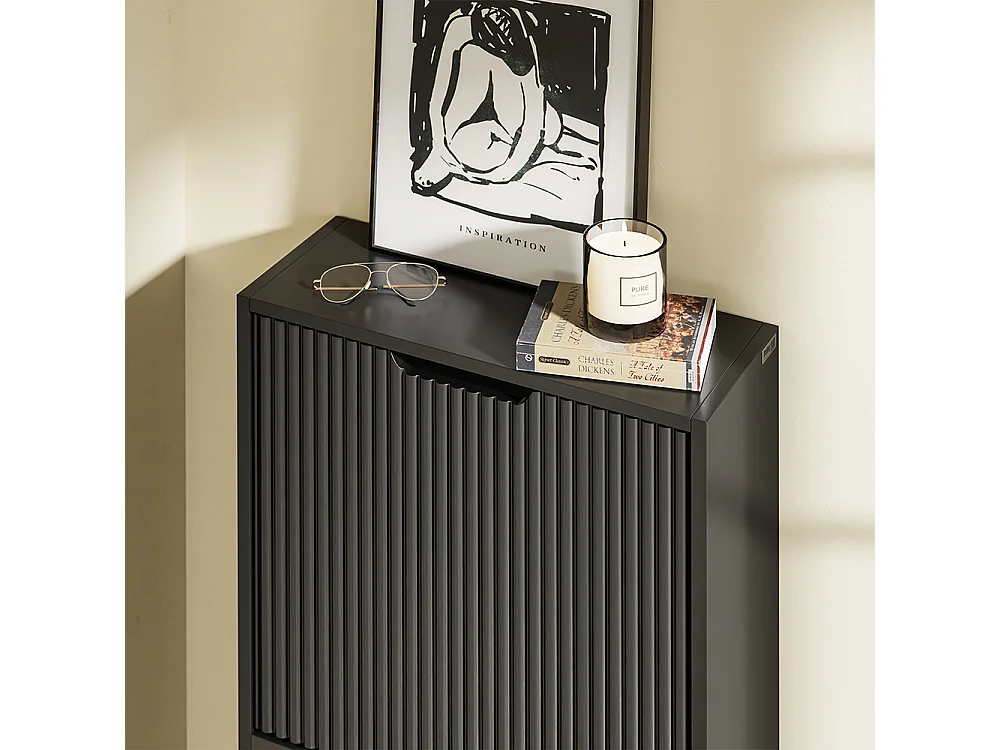 SoBuy Meuble Chaussures Portes Rabattables Noir 50x19x99.6cm FSR204-SCH