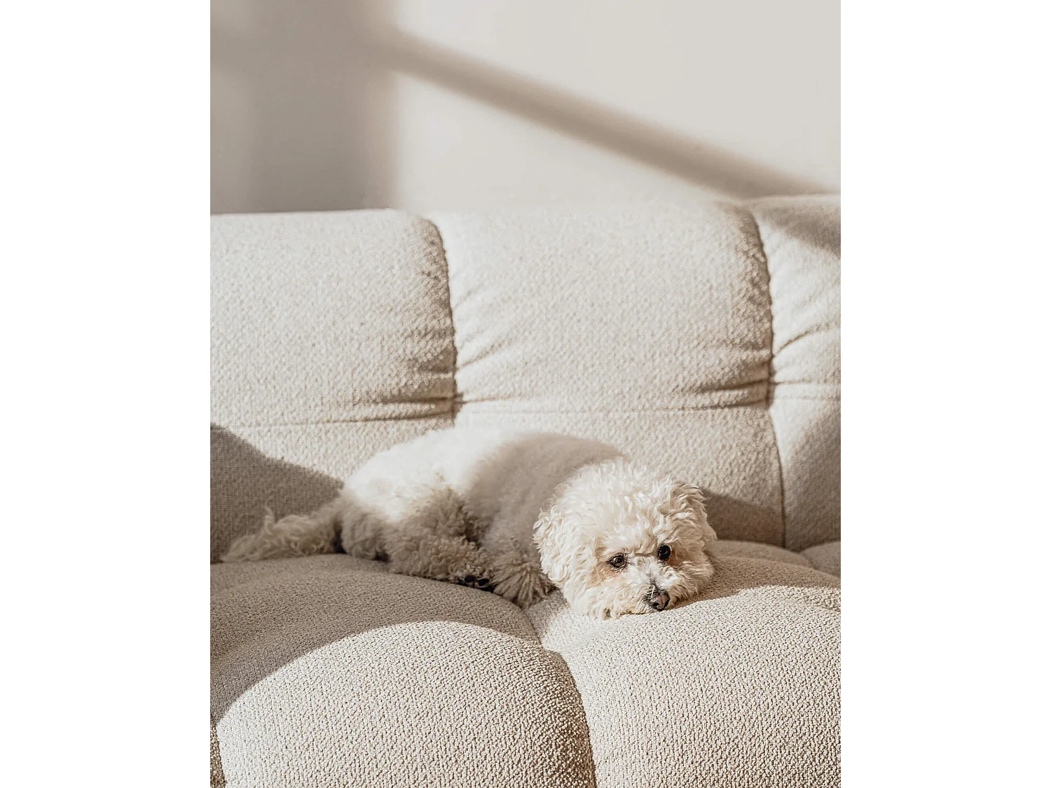 Bolbi Sofa 2-Sitzer - Desert Beige Bouclé, 234 x 107 x 79 cm