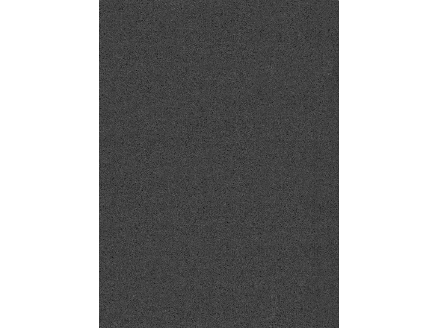 Tapis Cosy doux lavable uni, anthracite, 80 x 300 cm