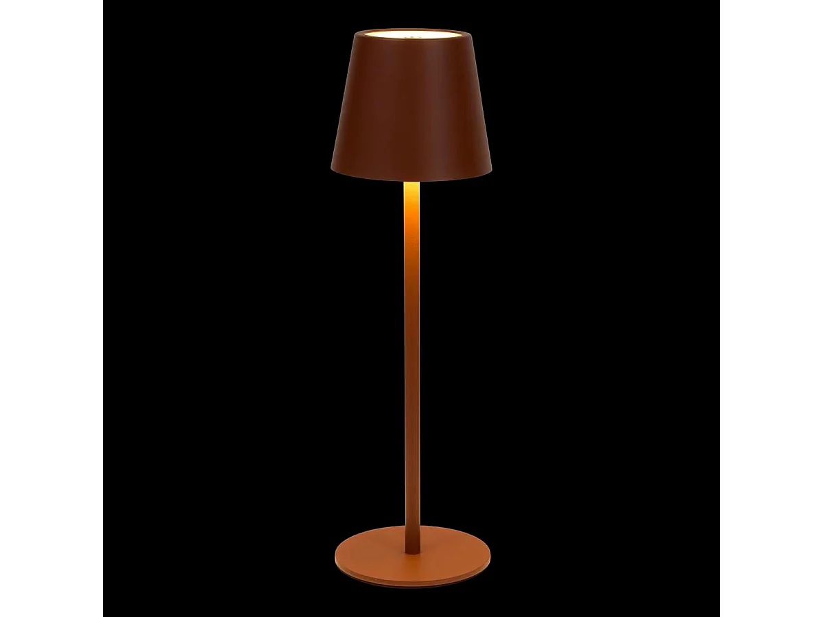 Lampe d'Extérieur en Métal "Cody" 37cm Marron