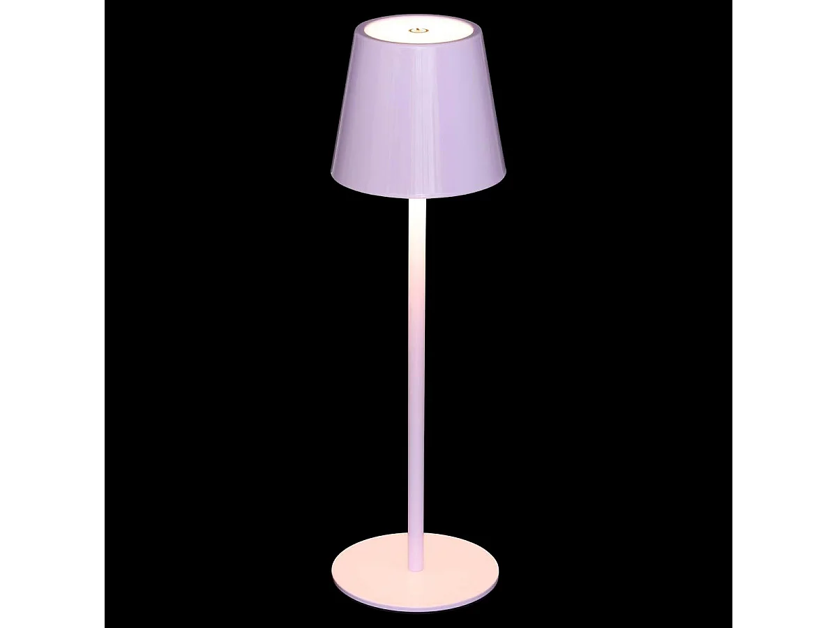 Lampe d'Extérieur en Métal "Cody" 37cm Lilas
