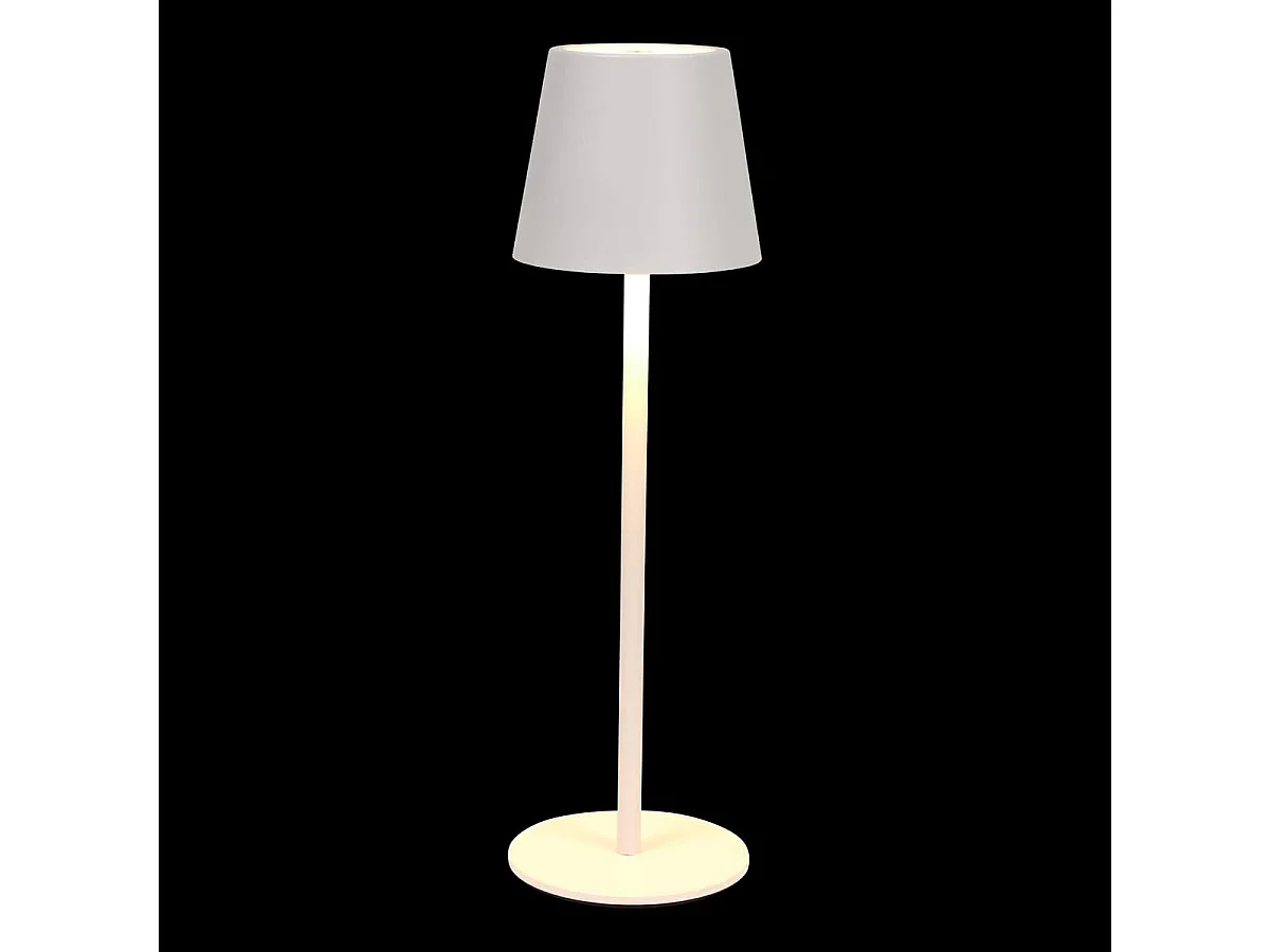 Lampe d'Extérieur en Métal "Cody" 37cm Blanc