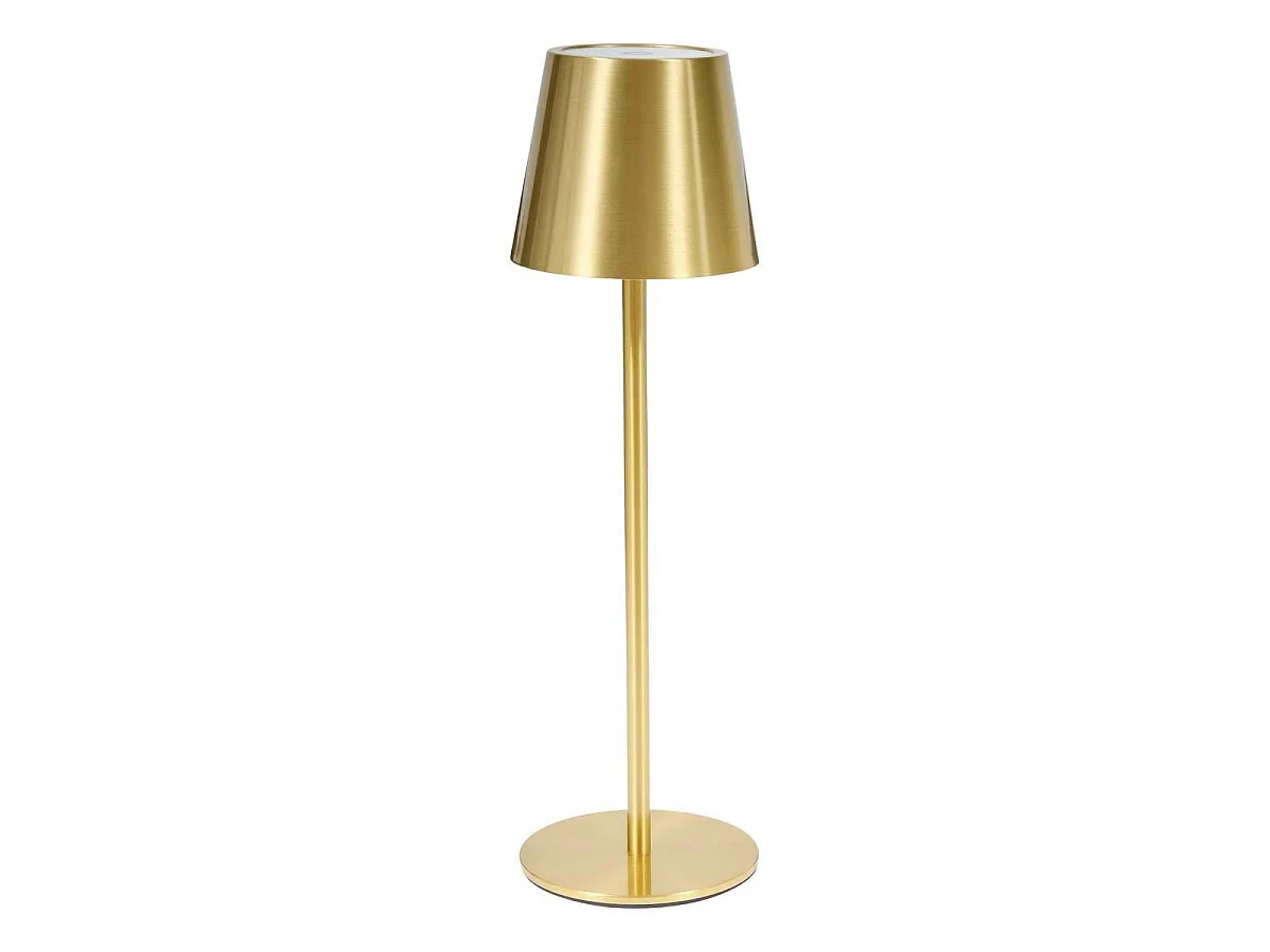 Lampe d'Extérieur en Métal "Cody" 37cm Doré