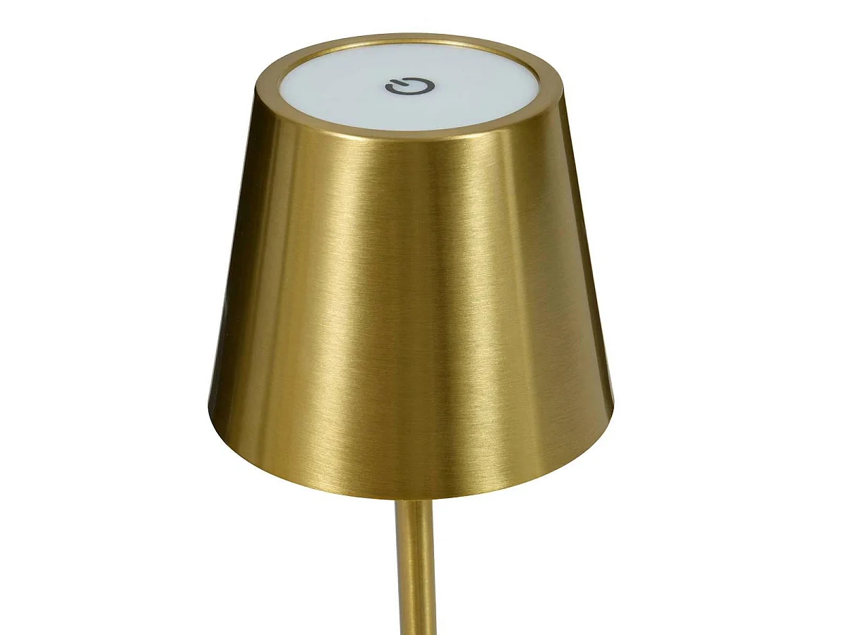 Lampe d'Extérieur en Métal "Cody" 37cm Doré