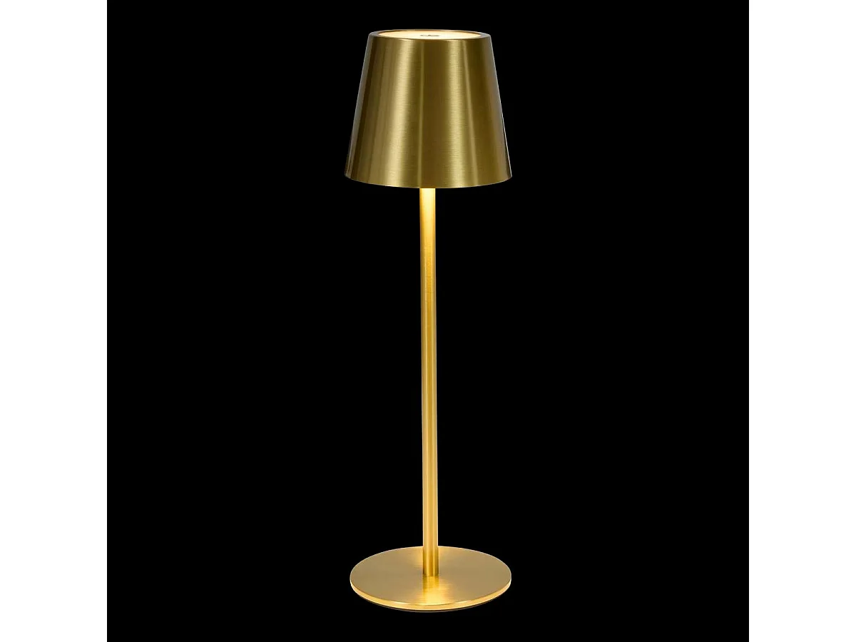 Lampe d'Extérieur en Métal "Cody" 37cm Doré