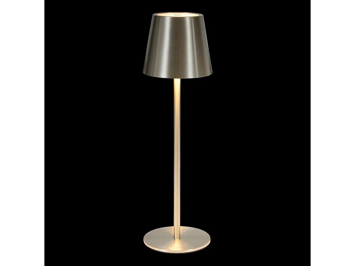 Lampe d'Extérieur en Métal "Cody" 37cm Argent