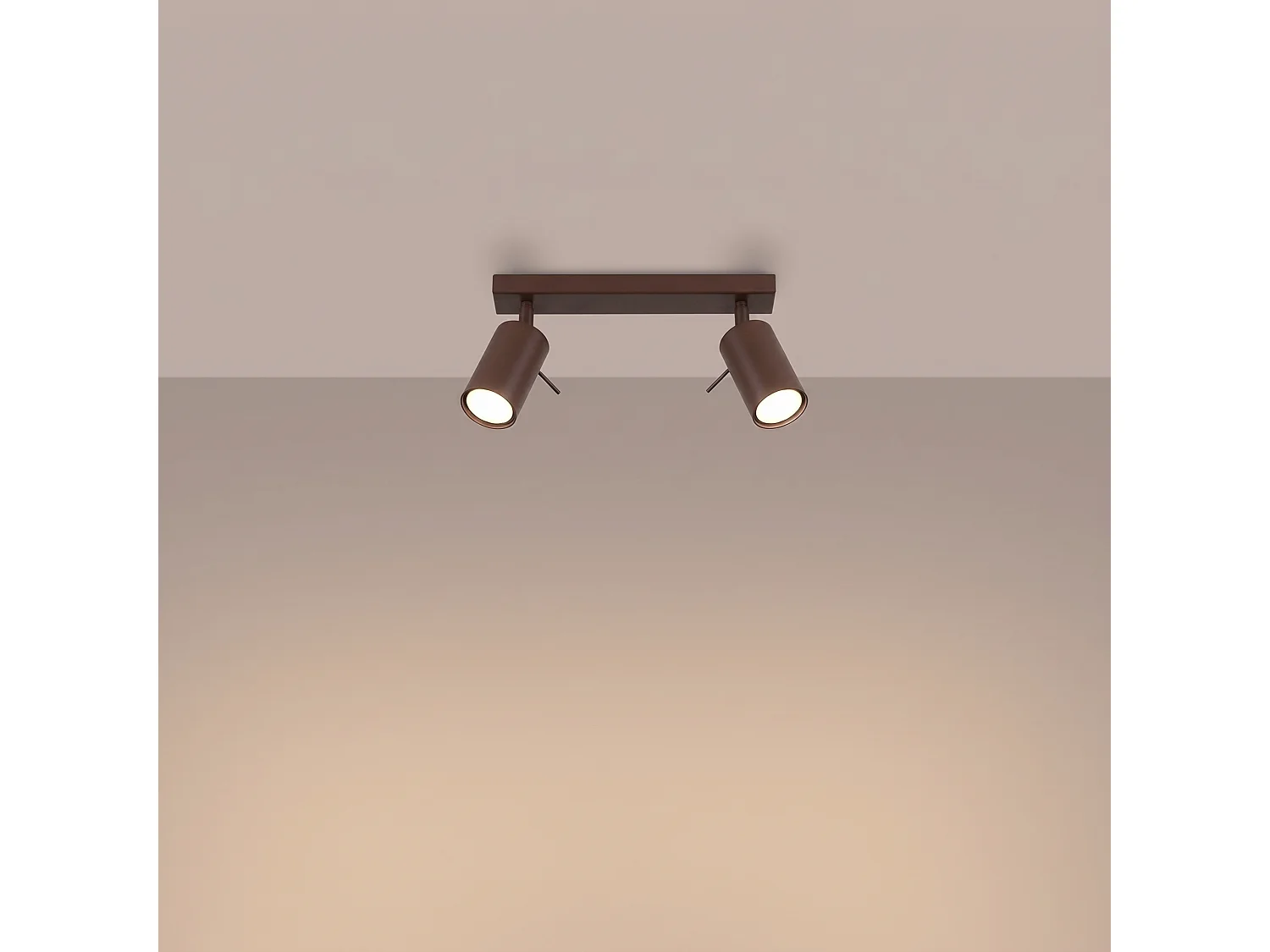 Plafonnier moderne en acier - 2 sources lumineuses - L.30 x H.16 cm - marron