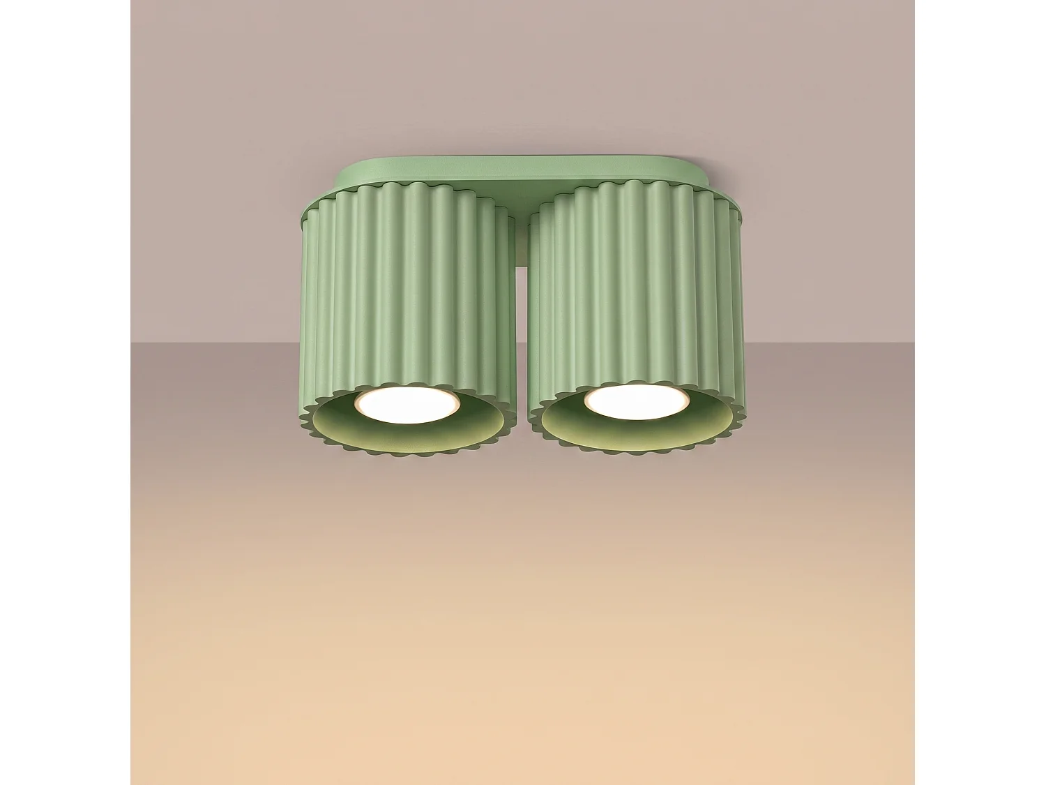 Plafonnier minimaliste en aluminium - 2 sources lumineuses - L.21 x H.12 cm - sauge