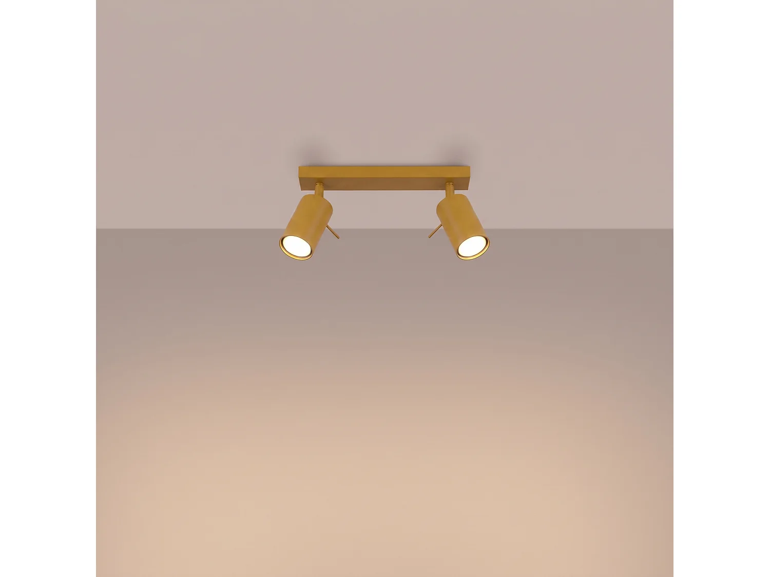 Plafonnier moderne en acier - 2 sources lumineuses - L.30 x H.16 cm - jaune
