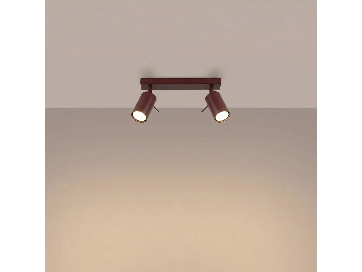 Plafonnier moderne en acier - 2 sources lumineuses - L.30 x H.16 cm - bordeaux