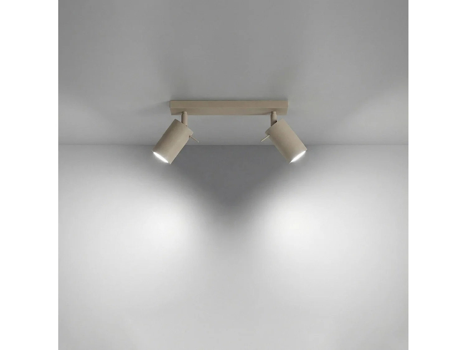 Plafonnier moderne en acier - 2 sources lumineuses - L.30 x H.16 cm - taupe