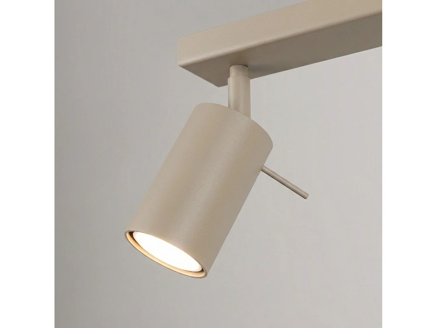 Plafonnier moderne en acier - 2 sources lumineuses - L.30 x H.16 cm - taupe