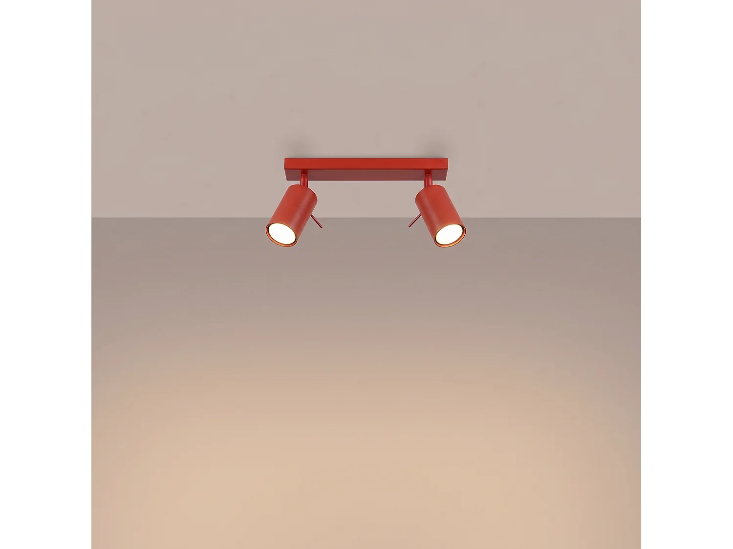 Plafonnier moderne en acier - 2 sources lumineuses - L.30 x H.16 cm - rouge