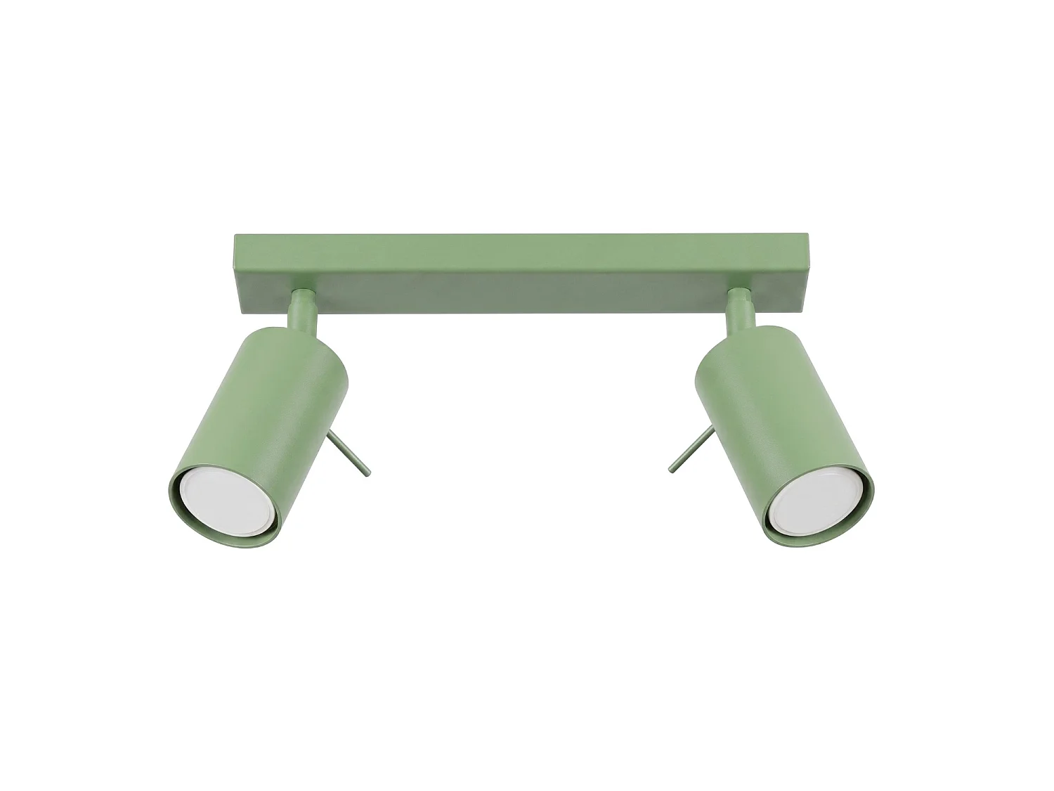 Plafonnier moderne en acier - 2 sources lumineuses - L.30 x H.16 cm - sauge