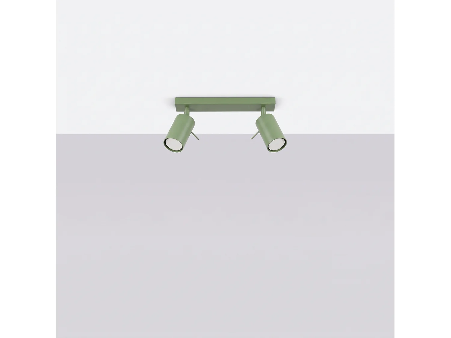 Plafonnier moderne en acier - 2 sources lumineuses - L.30 x H.16 cm - sauge