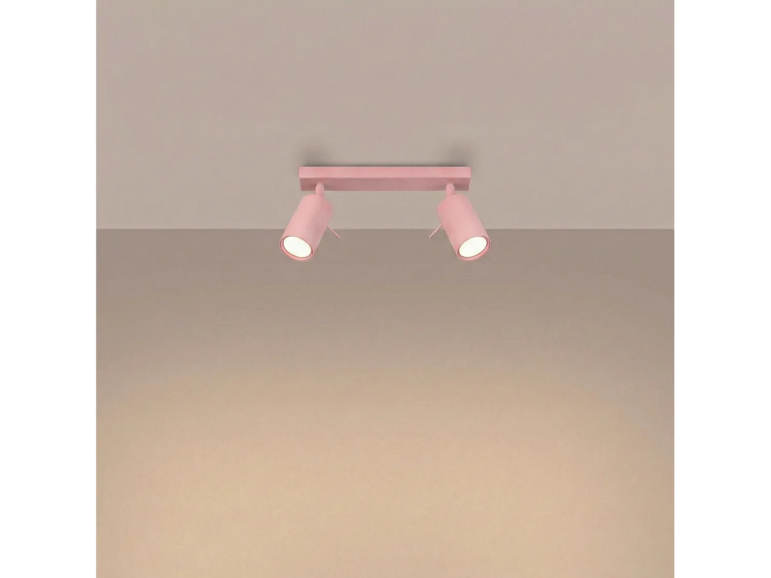 Plafonnier moderne en acier - 2 sources lumineuses - L.30 x H.16 cm - rose