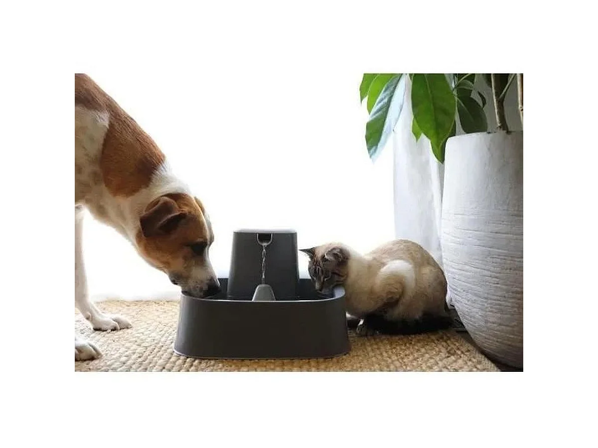 Fontaine à eau automatique PetSafe Drinkwell 7,5 L avec double filtration
