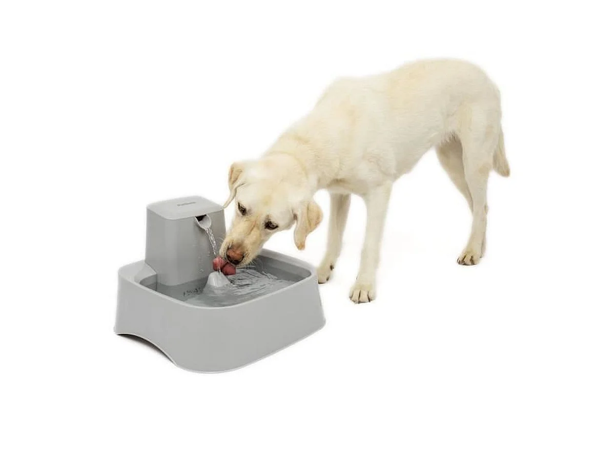 Fontaine à eau automatique PetSafe Drinkwell 7,5 L avec double filtration