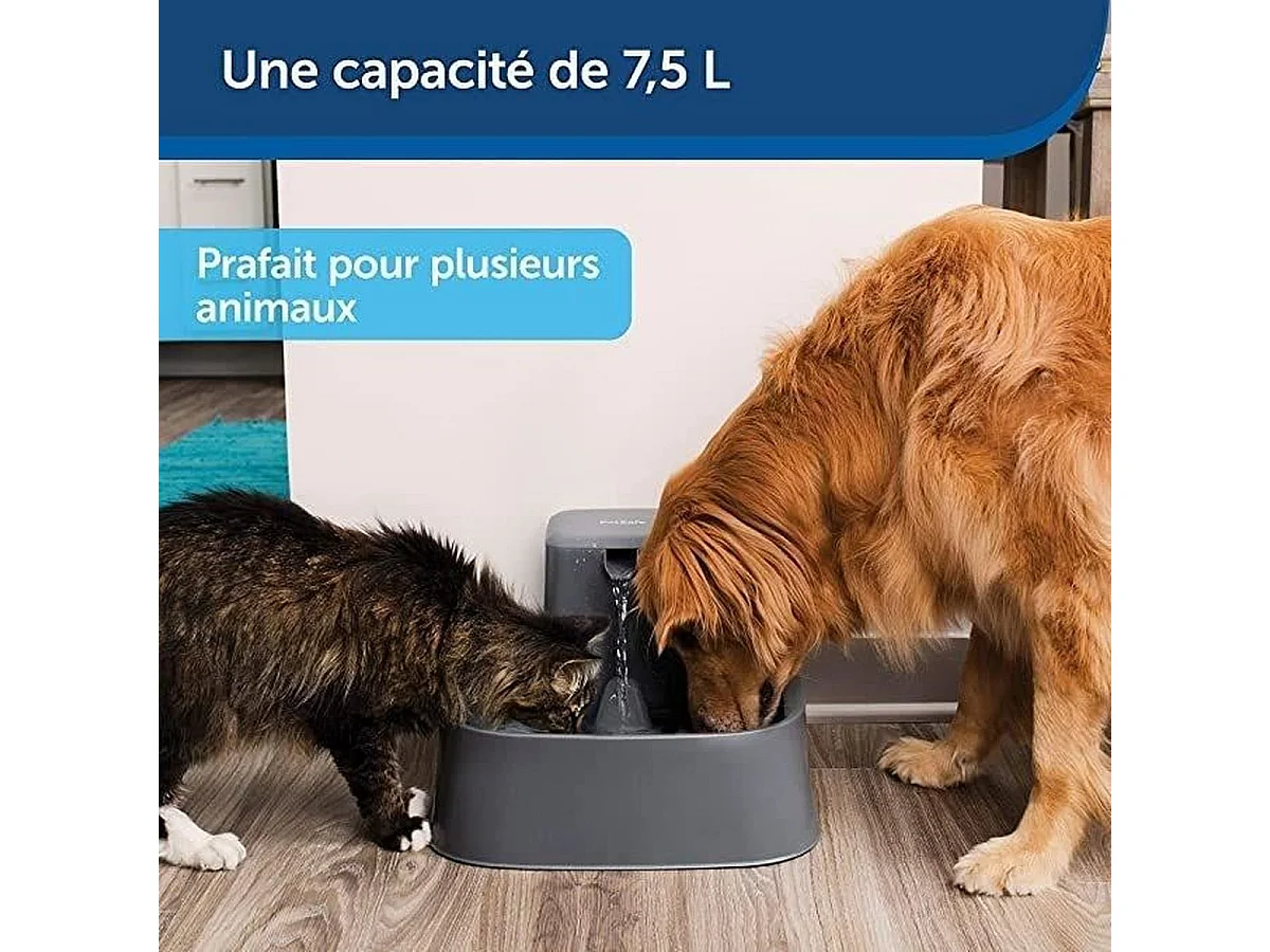 Fontaine à eau automatique PetSafe Drinkwell 7,5 L avec double filtration