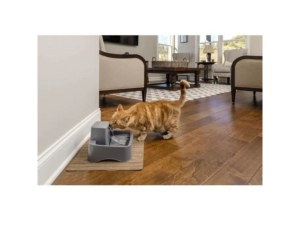 PetSafe Drinkwell 1,8L BPA-vrije Waterfontein met Dubbele Filtratie voor Katten en Kleine Honden