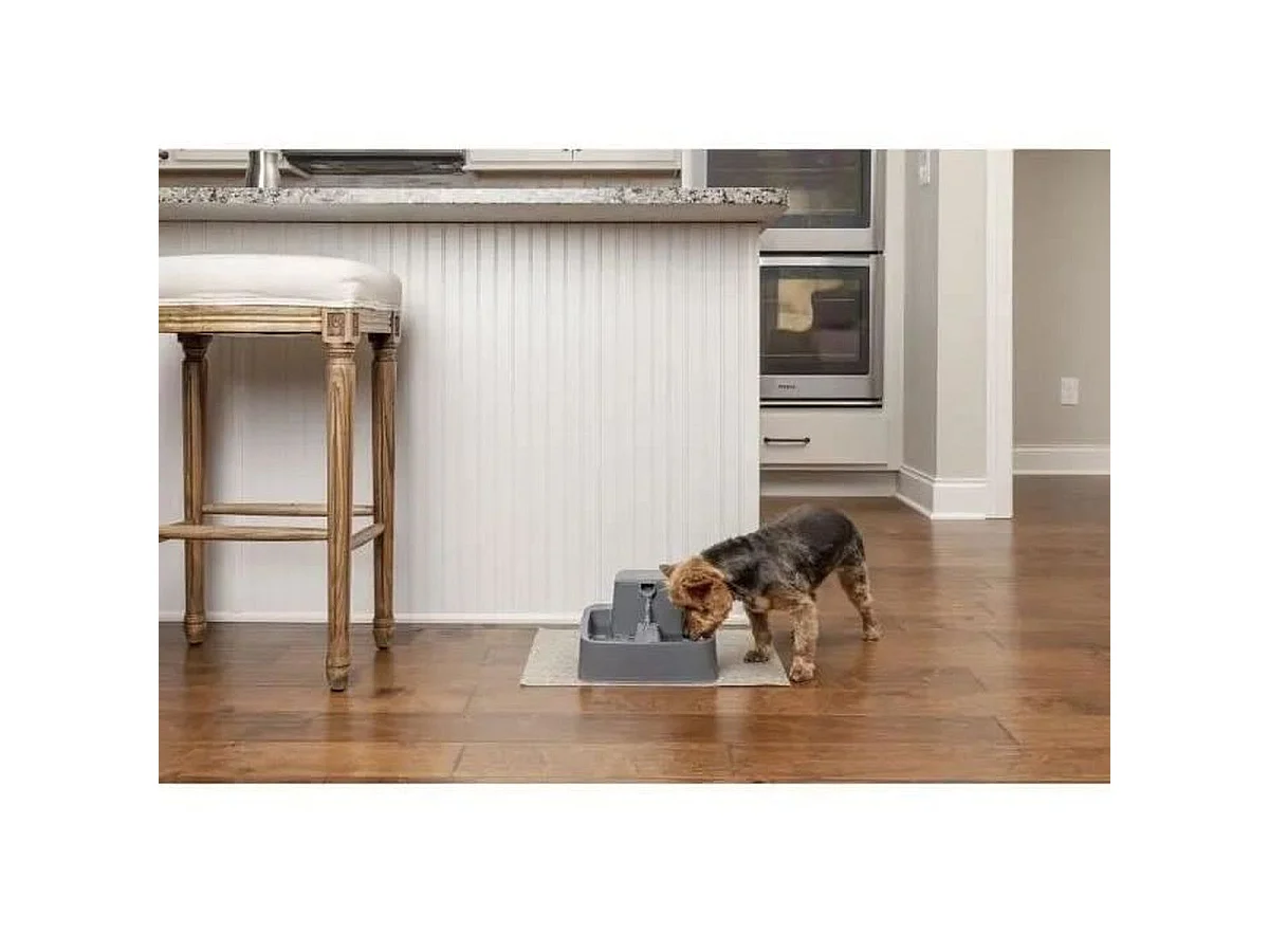 PetSafe Drinkwell 1,8L BPA-vrije Waterfontein met Dubbele Filtratie voor Katten en Kleine Honden