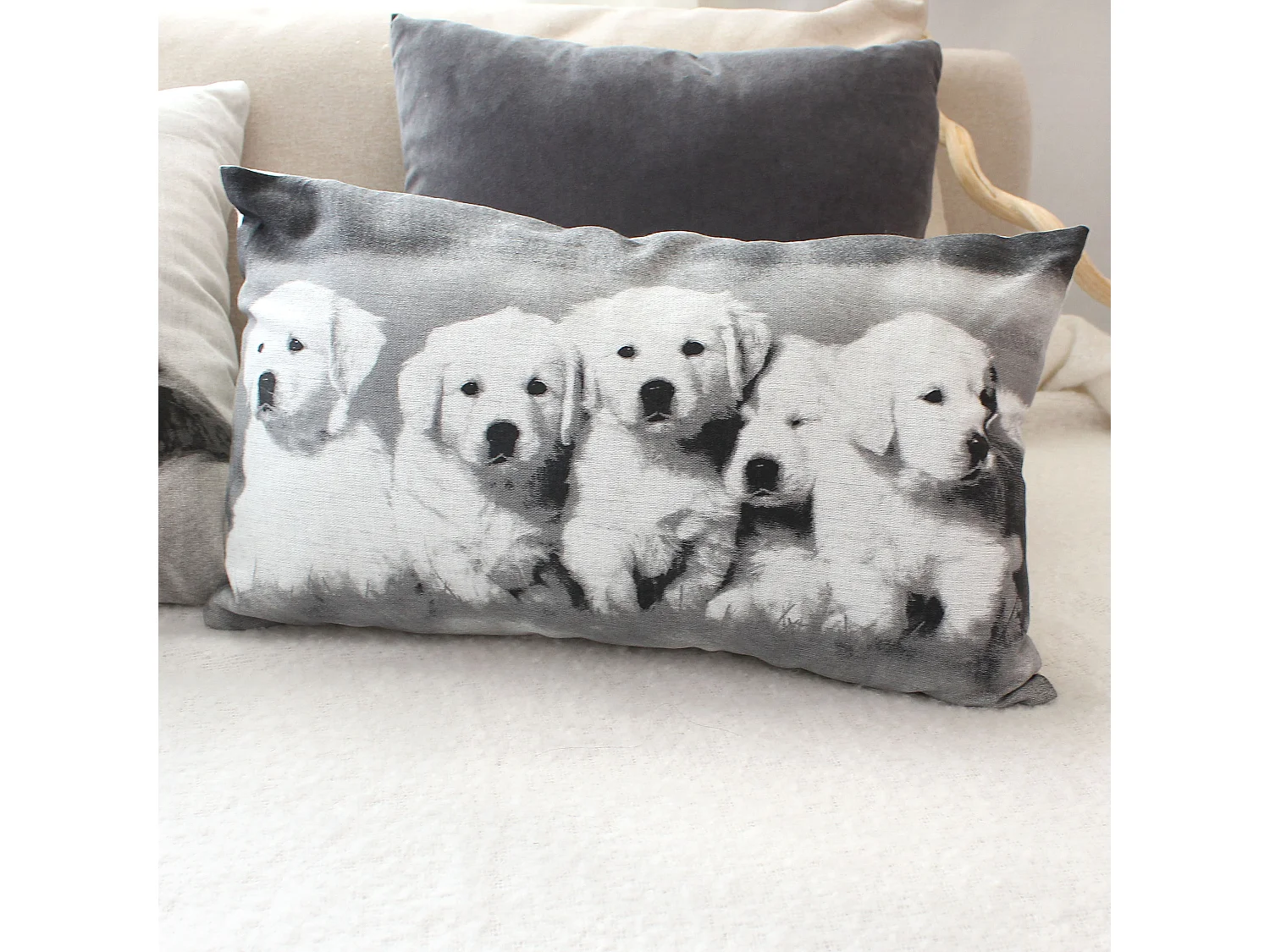 Lot de 2 Coussins déhoussables Chien, rectangulaire 30x50cm, Collection Vickie, CMADECO - Anthracite