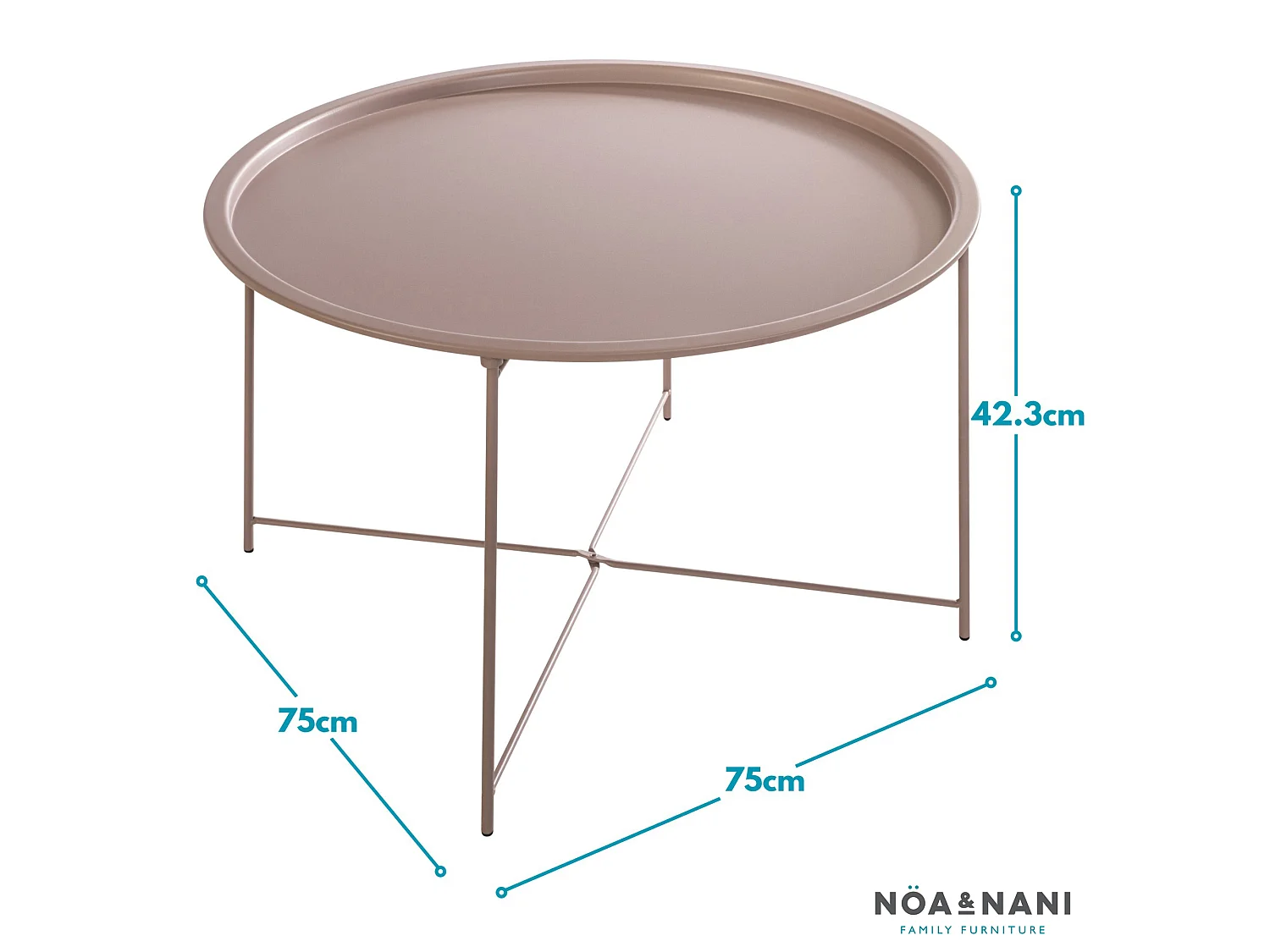 Noa & Nani Bjarni Coffee Table Metal Side Table in Blush Pink