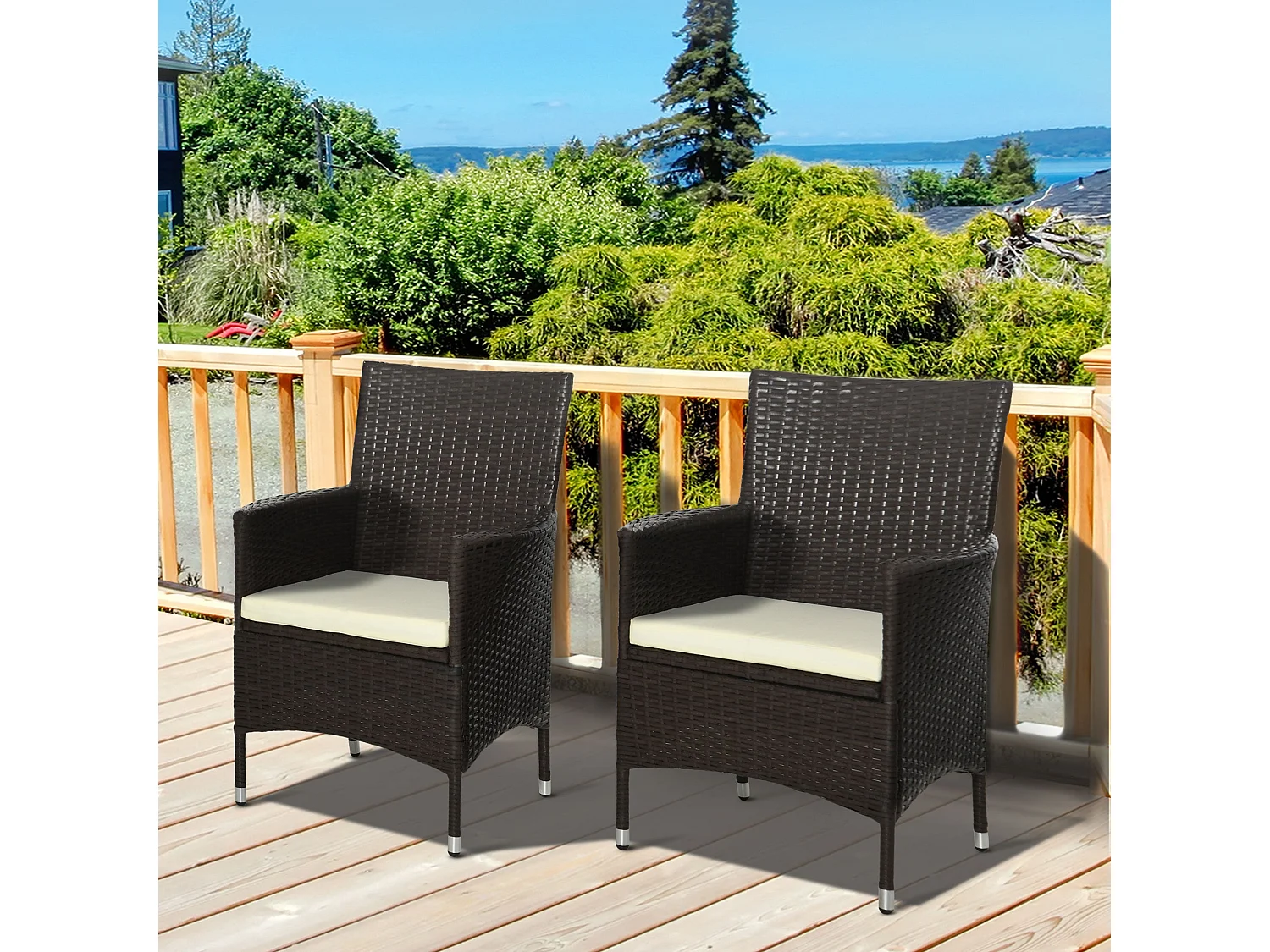 Dodone Set of 2 Metal and PE Rattan Outdoor Dining Armchairs with Cushions