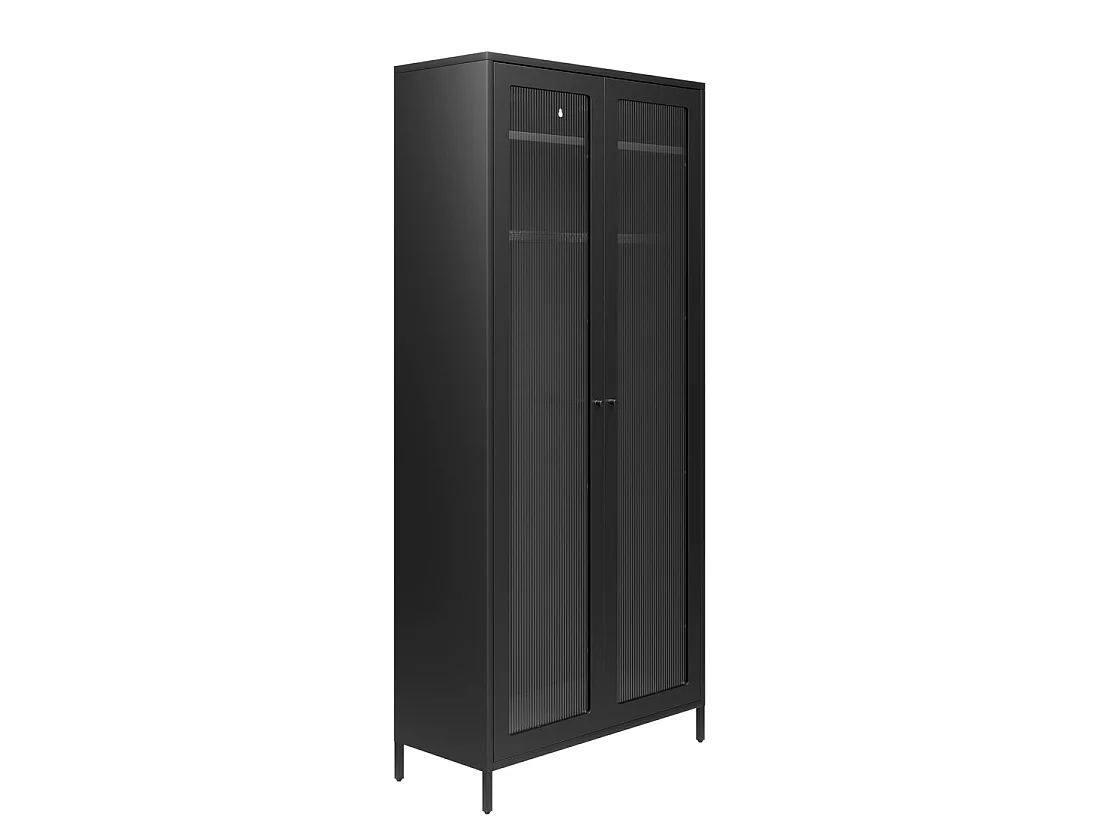 Sattek Black Metal 2 Door Wardrobe with Reeded Glass