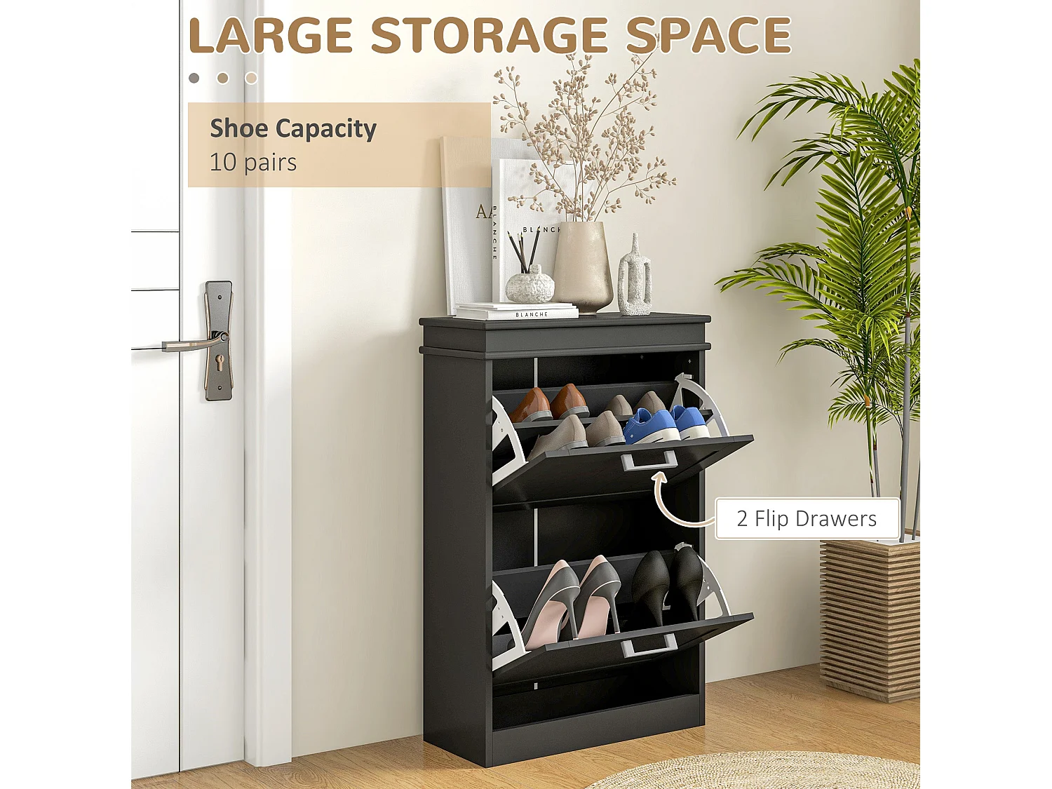 Fadivi Raka Black Minimal 2 Drawer Shoe Cabinet for 10 Pairs
